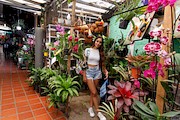 Paulette Donceles – The Pitaya Show – Zishy – [5]